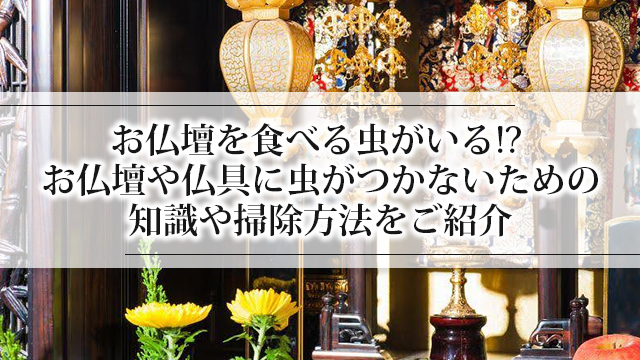 お仏壇を食べる虫がいる!? お仏壇や仏具に虫がつかないための知識や掃除方法をご紹介