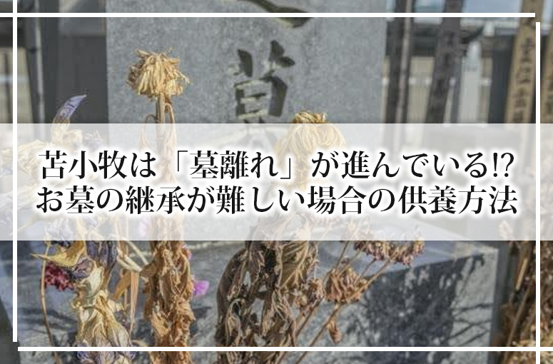 苫小牧は「墓離れ」が進んでいる!?お墓の継承が難しい場合の供養方法